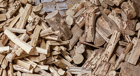 Union Budget 2026 gives boost to sandalwood cultivation