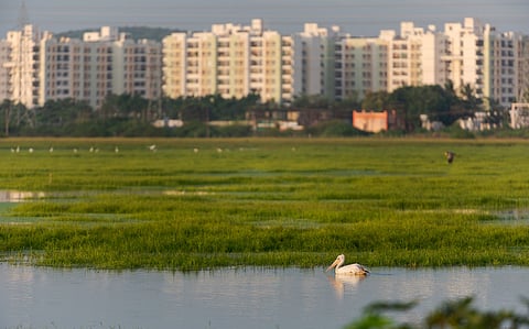 Specific mention of and measures for climate change adaptation missing from Budget 2026 Speech