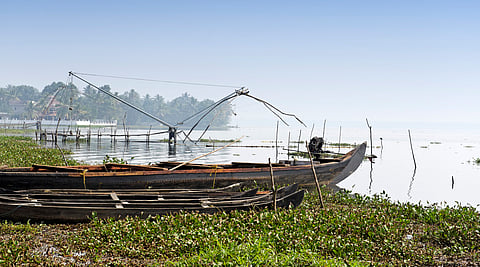 Why India’s wetlands matter more than ever