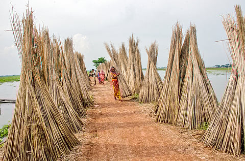 Budget 2026 introduces scheme to boost local natural fibre industry in mega textile push