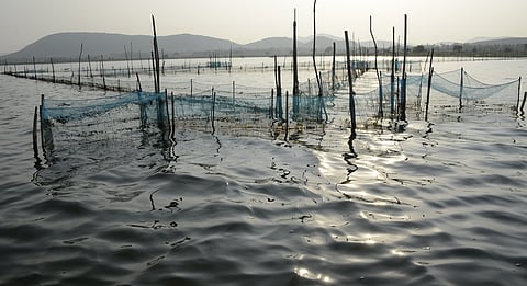 World Wetlands Day 2026: Promoting Chilika red rice can help enhance food and livelihood security around India’s first Ramsar Site