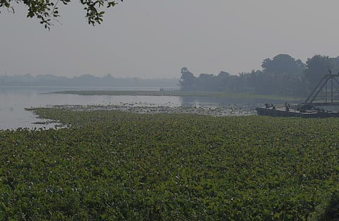 The ‘kidneys of south Bengal’ are dying