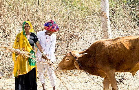India opens farm imports in ‘calibrated manner’ under India-US trade deal