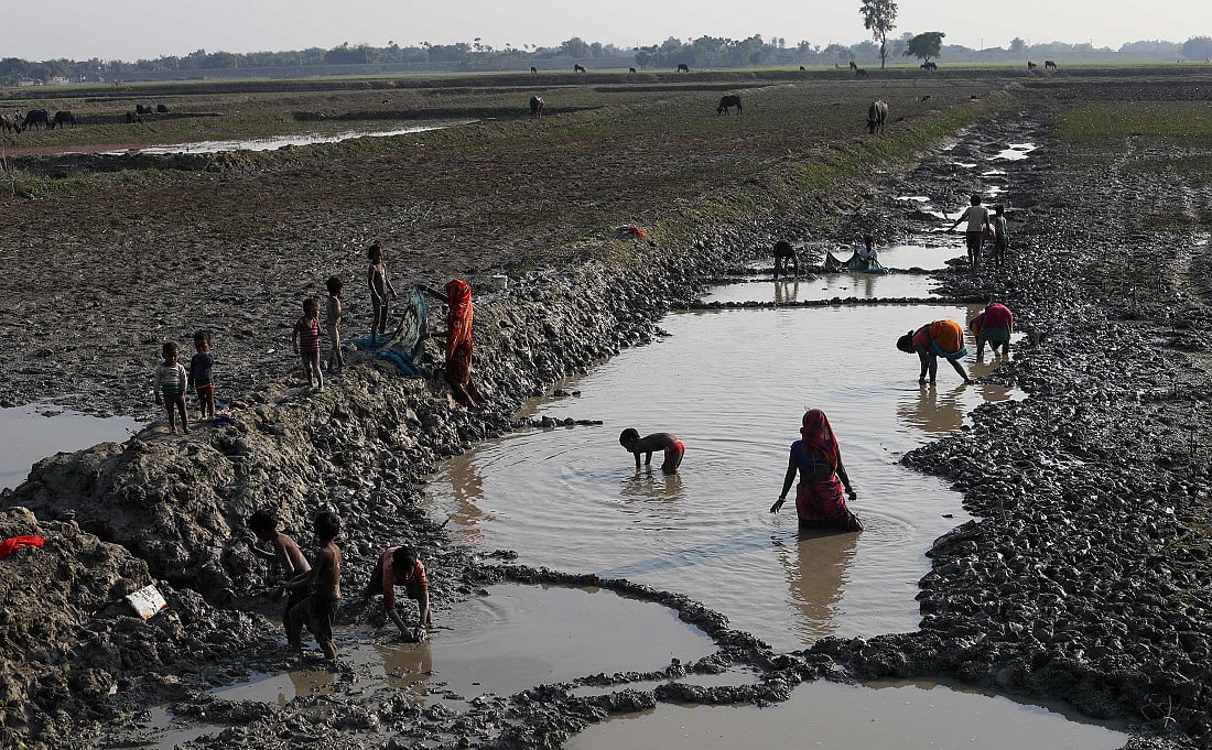 In Katihar’s marshlands, the monsoon is often a bane and a boon as well