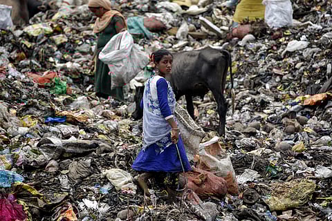 Sustainability, dying in circles