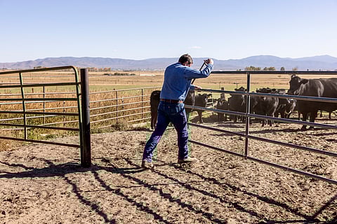 Sixth year of drought in Texas and Oklahoma leaves ranchers bracing for another harsh summer