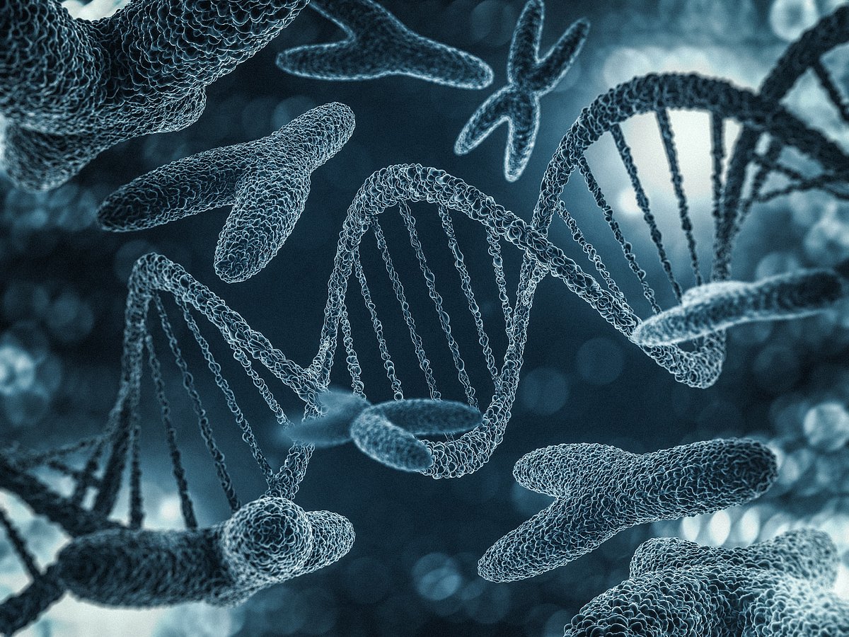 downtoearth%2F2026-02-13%2F3udagvff%2FiS