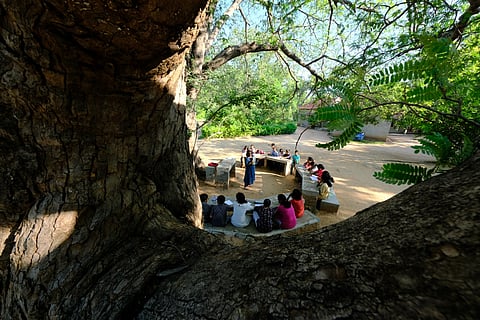 On relating with & learning from nature