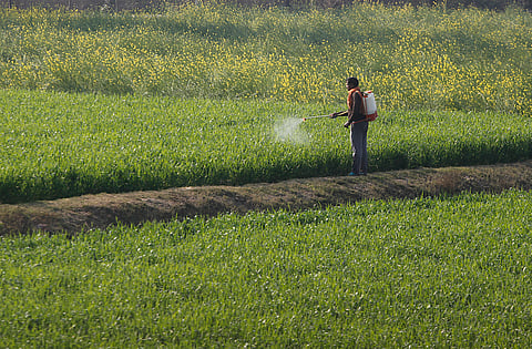 Regulating the living: India’s biopesticides challenge 