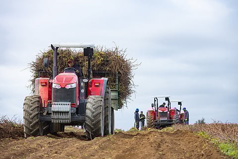 Africa looks to mechanisation for agricultural transformation 