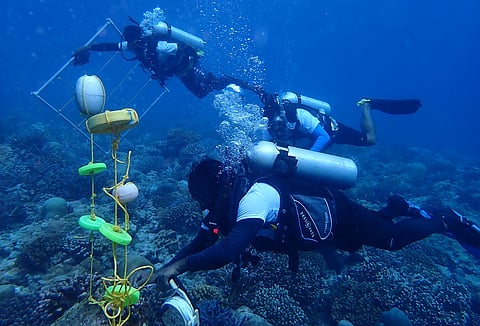 Amid ongoing global mass coral bleaching, scientists discover thriving coral reef in Lakshadweep
