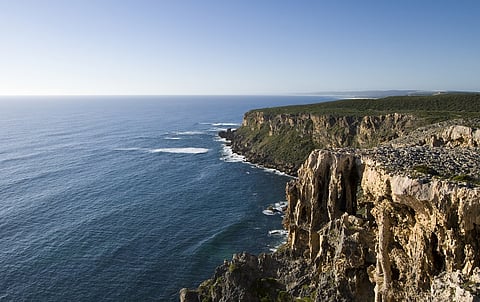 The highly salty Southern Indian Ocean is getting fresher due to global warming: Study