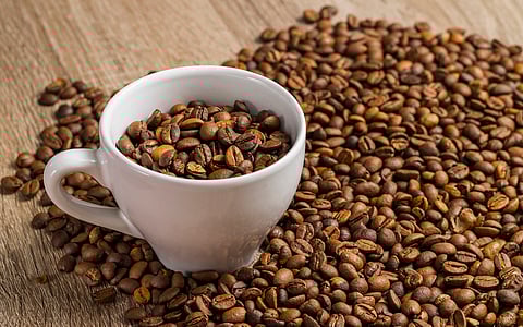 Future Thali: New interactive digital tool aims to spark conversations between consumers and their plate