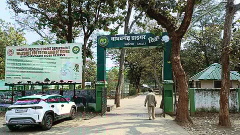 Bandhavgarh National Park in Madhya Pradesh has the country’s largest tiger population and sits adjacent to coal deposits