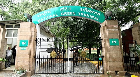 To be effective, environmental compensation should transition from retrospective punitive measure to strategic financing tool for ecological recovery