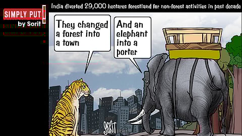 Simply Put: The forest and the elephant