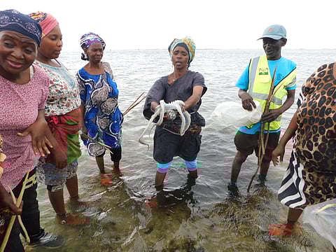 International Women’s Day 2026: Fishing along Kenya’s coast was largely a male preserve; but change is now being felt