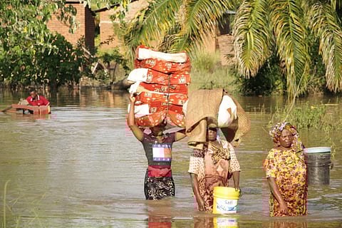 How climate change is redrawing Tanzania’s disease map