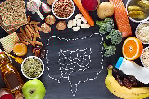 Fix food systems to fix gut & public health