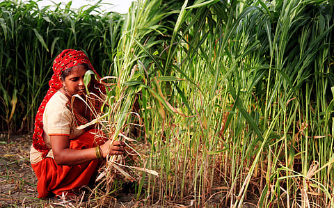 Women farmers call for equal access to resources to boost global food production
