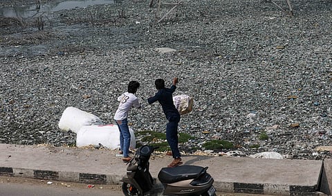 Death of a Delhi wetland