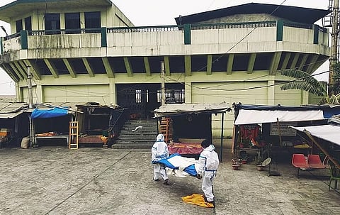 Most pandemic viruses jump to humans without prior adaptation: Study