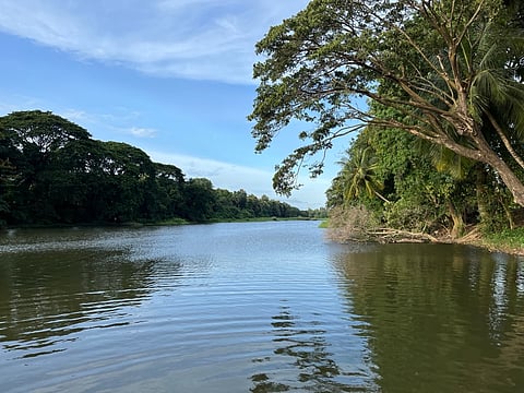 Chittur-Thathamangalam, a small town in Kerala’s Palakkad district