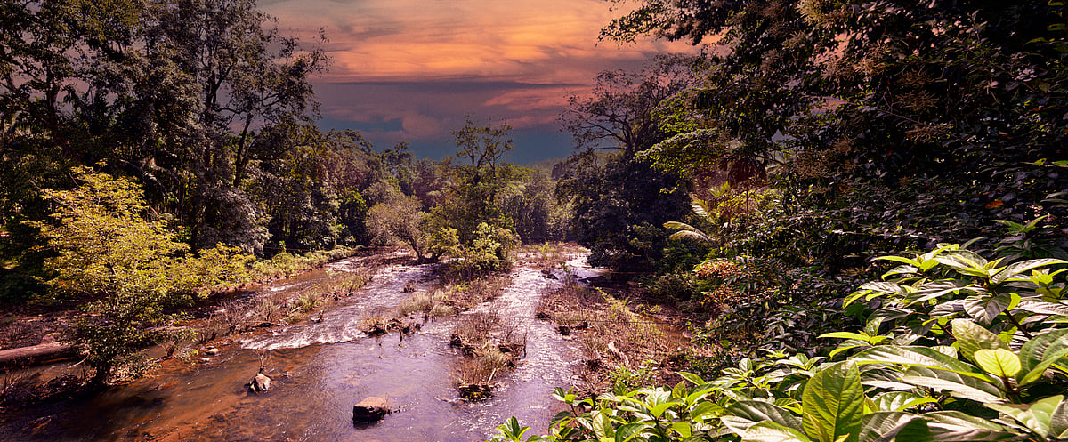 Mani Ratnam’s Raavan Constructs a Linguistic Framework for Ecological Awareness in Contemporary Indian Cinema