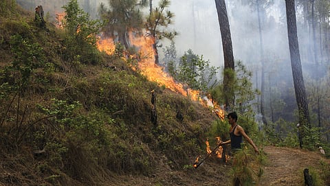 Himalayan fire shift: Tale of flames and ice unfolding across the range