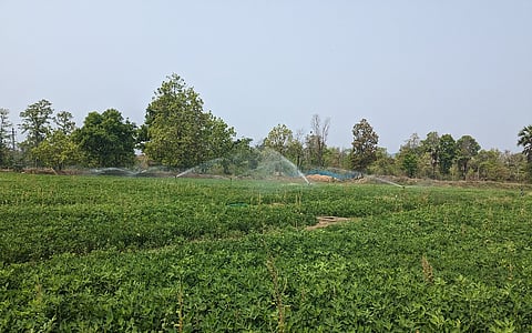 World Water Day 2026: Future policy in rainfed regions must recognise that farmers already possess hydrological knowledge of their landscapes