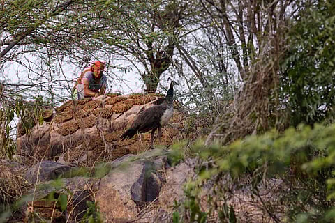 This World Forest Day, India must rethink how it governs its resources