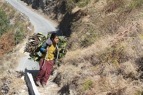 Unseasonal winter heat has forced Reena Devi to spend longer hours working in her fields