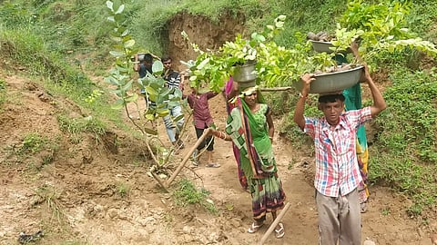 Village residents carring saplings for plantation in the ravines.