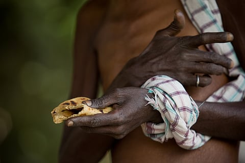 Hotter world, hungrier futures: India among most vulnerable large economies to food insecurity as global temperatures rise