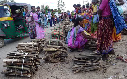 Re-discovery of fuelwood