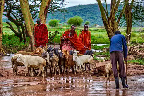 Kenya faces hotter, riskier year after one of its warmest years in 2025
