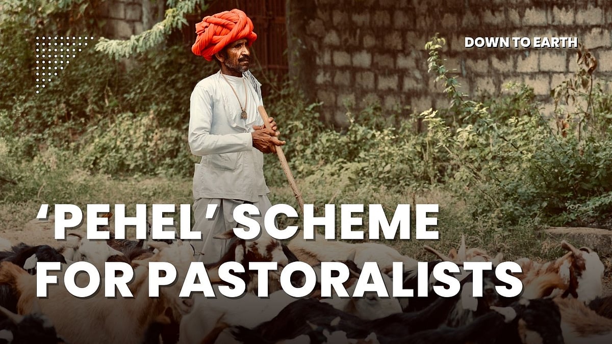 Shepherds of Himachal Pradesh preparing livestock for seasonal migration under the PEHEL initiative