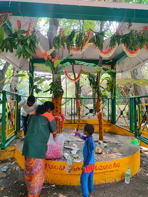 Why Bengaluru’s Thigala community worships Draupadi & protects nature through Karaga festival