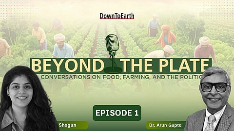 Beyond The Plate | The science of cravings and the policy gaps that sustains it