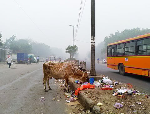 Ghaziabad recorded highest PM10 pollution in 2025-26