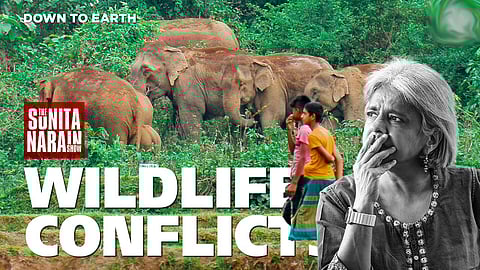 The Sunita Narain Show: What are the complexities of human-wildlife conflicts?