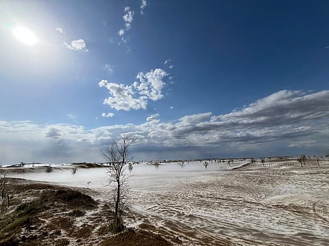New crop loss season? Unseasonal hailstorms, rain wipe out entire fields in Rajasthan, Punjab days before harvest