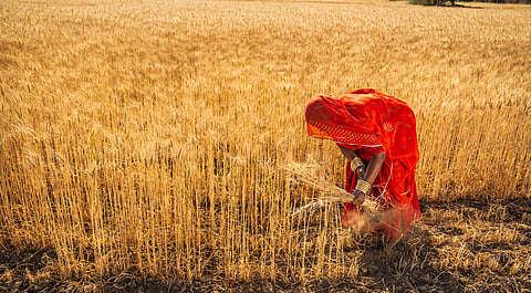 Women farmers remain the missing link in India’s digital agriculture push