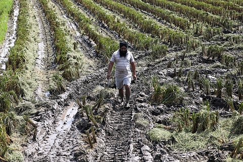 Farmers now face two high-risk seasons a year and rising threats to food security.