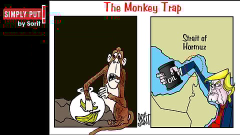 Simply Put: Monkey Trap