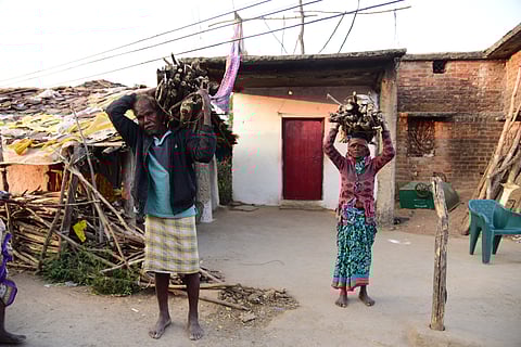 Between forest and flame: Why rural India still cooks on firewood despite LPG access