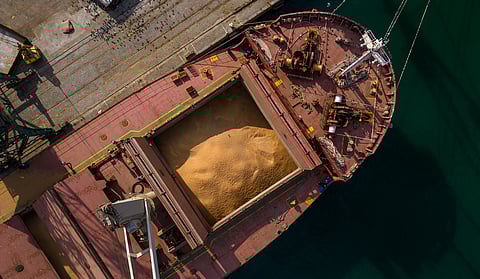 ‘Clock is ticking’: FAO warns of dangerous food inflation spike risk amid Strait of Hormuz crisis