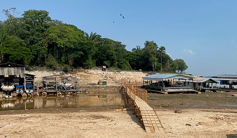 Back-to-back Amazon droughts altered ecological functioning of rainforests, triggering record stress