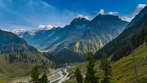 Vegetation in six Himalayan regions shifted upwards due to warming, reduced snow depth