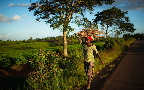 Africa’s energy transition gathers pace but remains uneven, with renewables leading fragile gains toward universal access